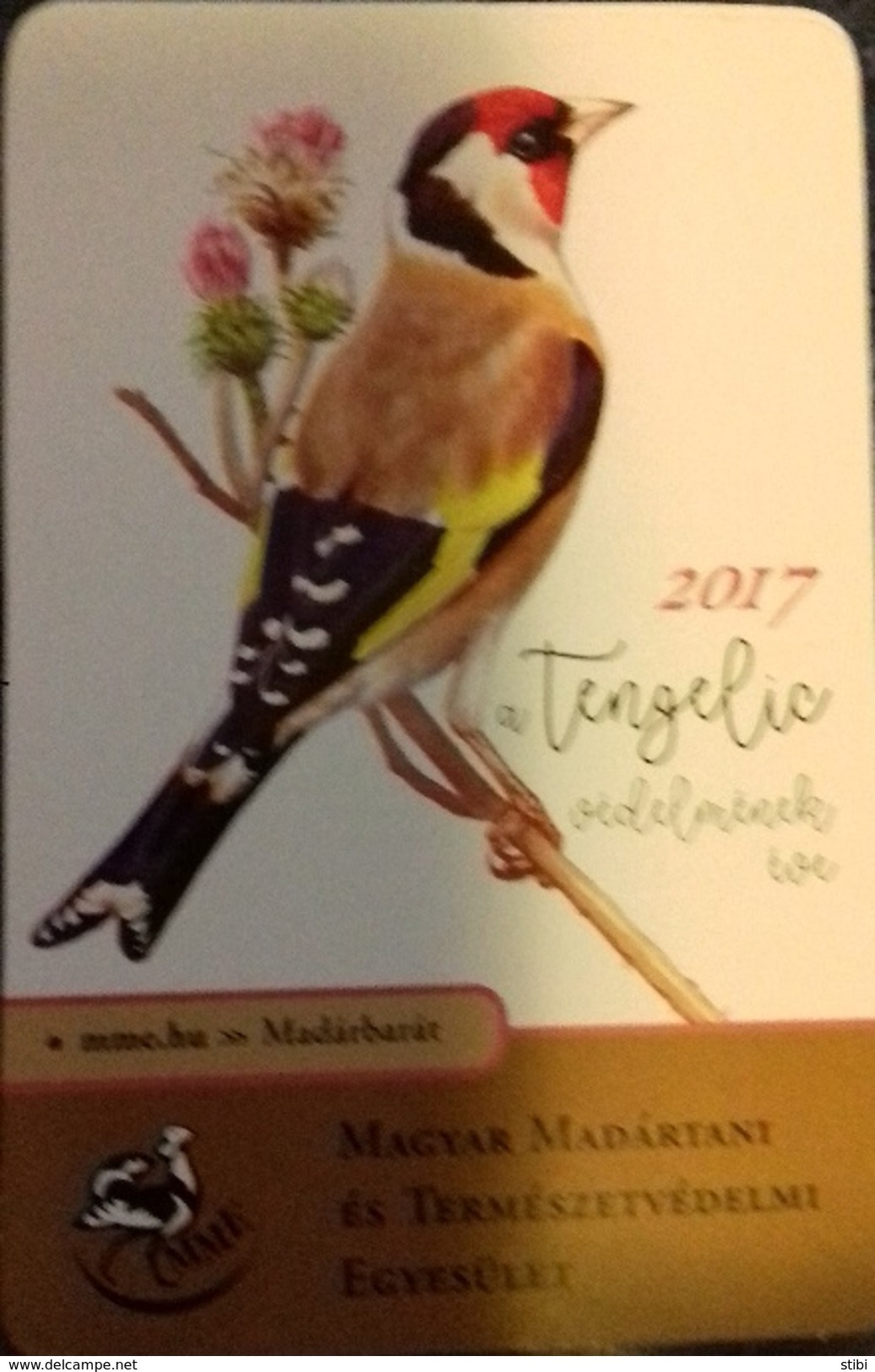 HUNGARY - CALENDAR - BIRD - TENGELIC - CARDUELIS CARDUELIS - GOLDFINCH - BIRDS OF THE YEAR 2017 - Formato Piccolo : 2001-...
