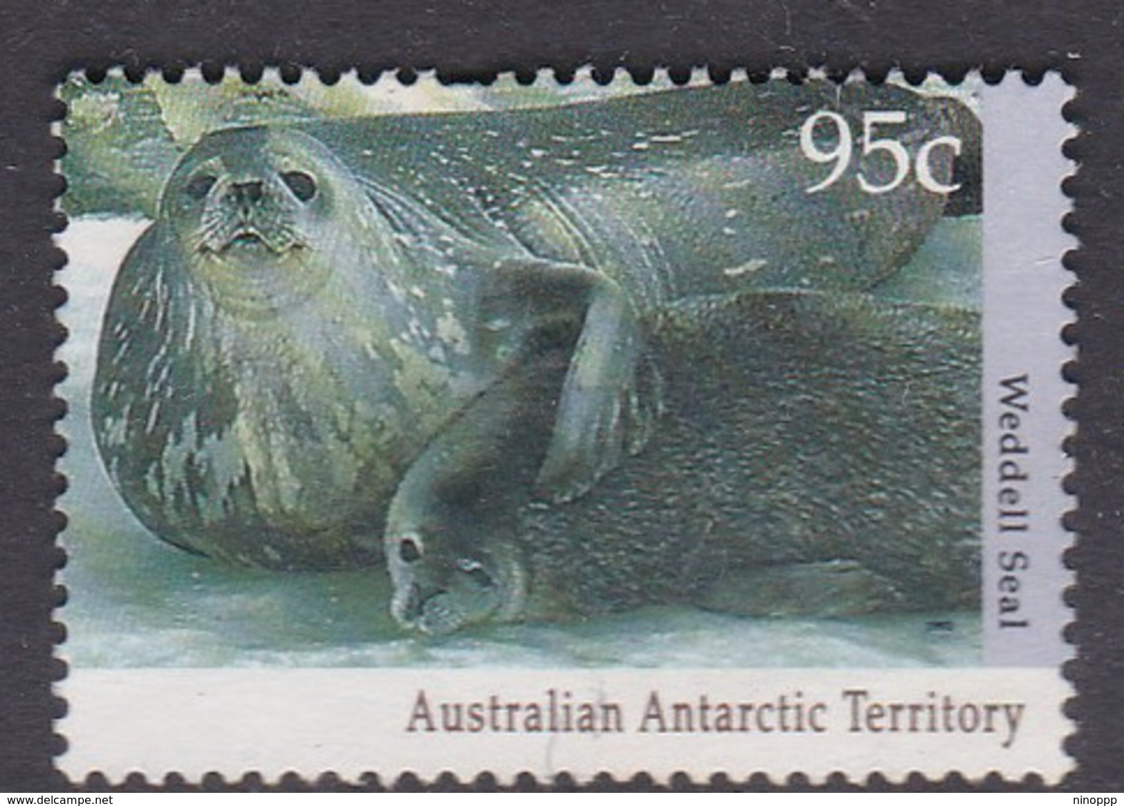 Australian Antarctic Territory  S 93 1992 Antarctic Wildlife Serie I 95c Weddel Seal Used - Used Stamps