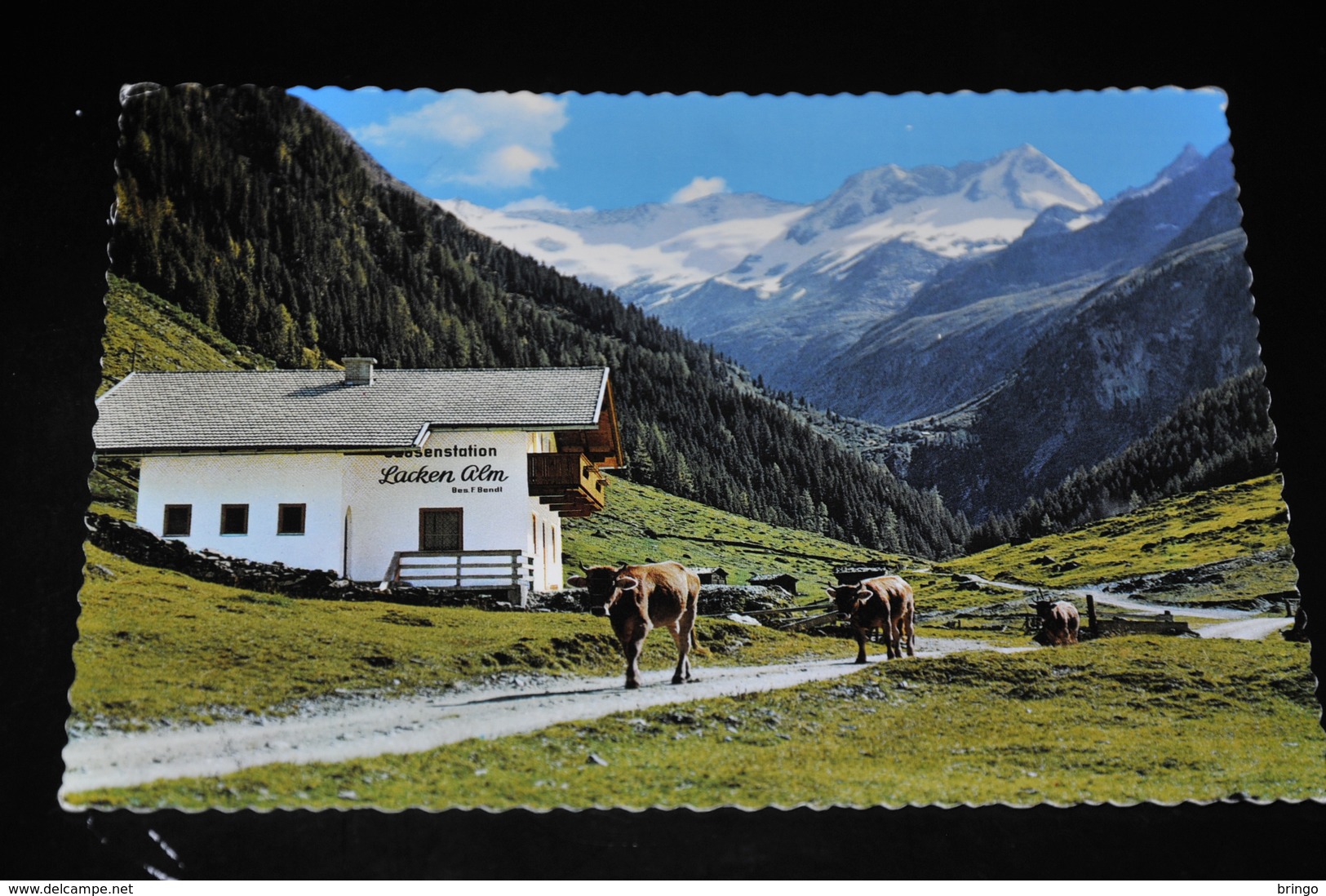 513- Hochal Gerlos, Jausenstation Lacken-Alm, Tirol - Gerlos