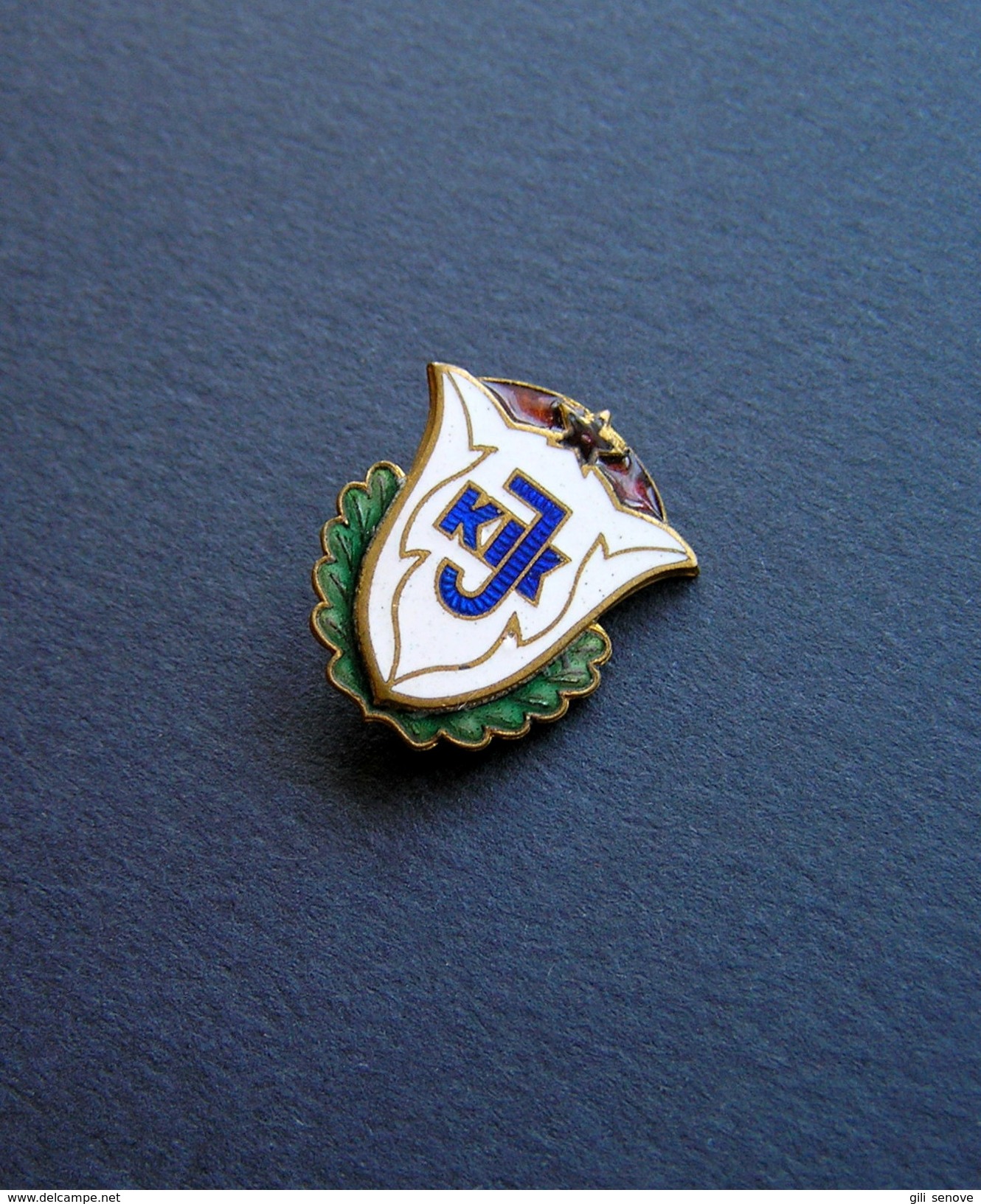 1960s USSR LITHUANIA KAUNAS STATE INSTITUTE OF PHYSICAL CULTURE BADGE - Other & Unclassified