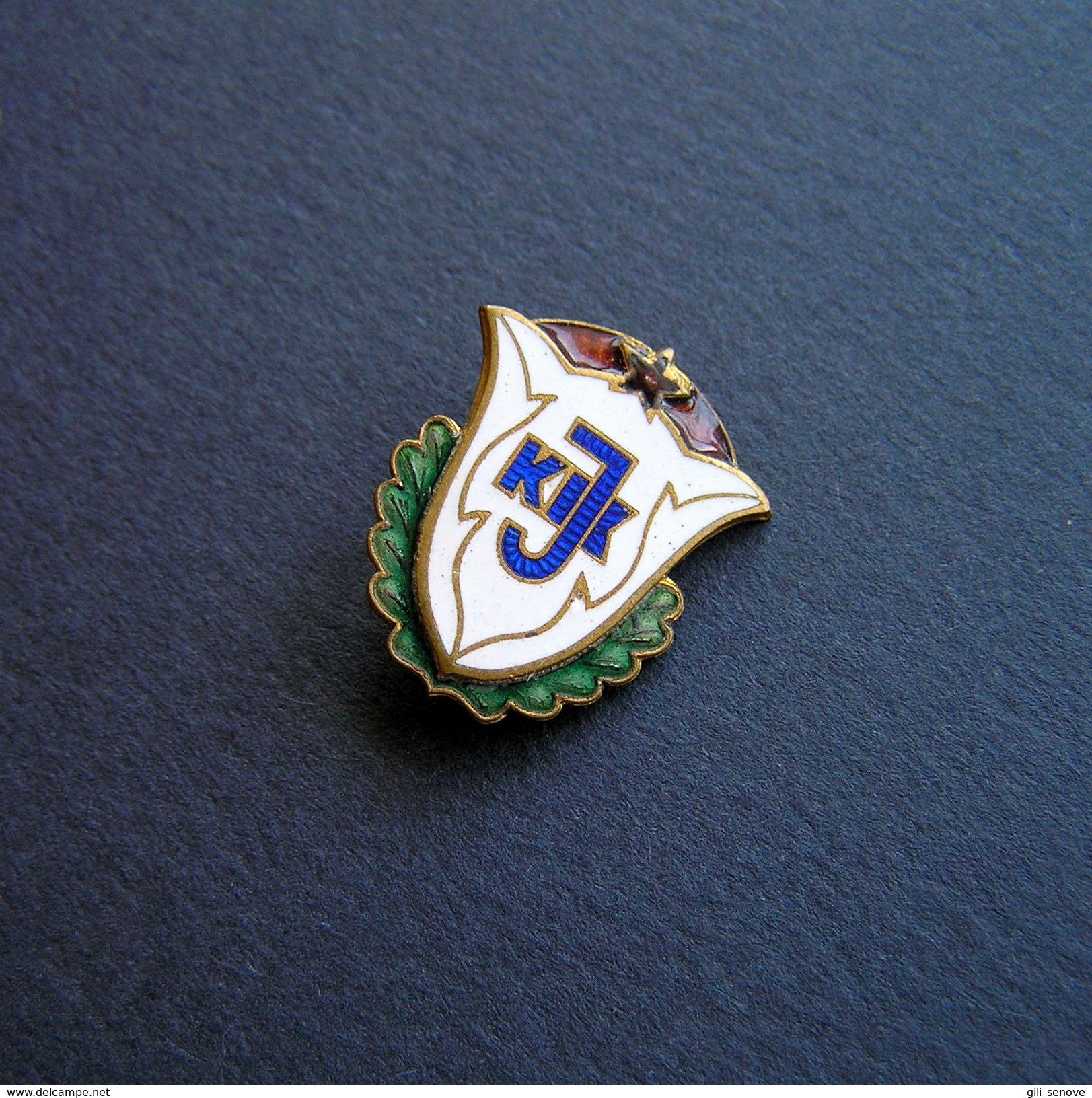 1960s USSR LITHUANIA KAUNAS STATE INSTITUTE OF PHYSICAL CULTURE BADGE - Altri & Non Classificati