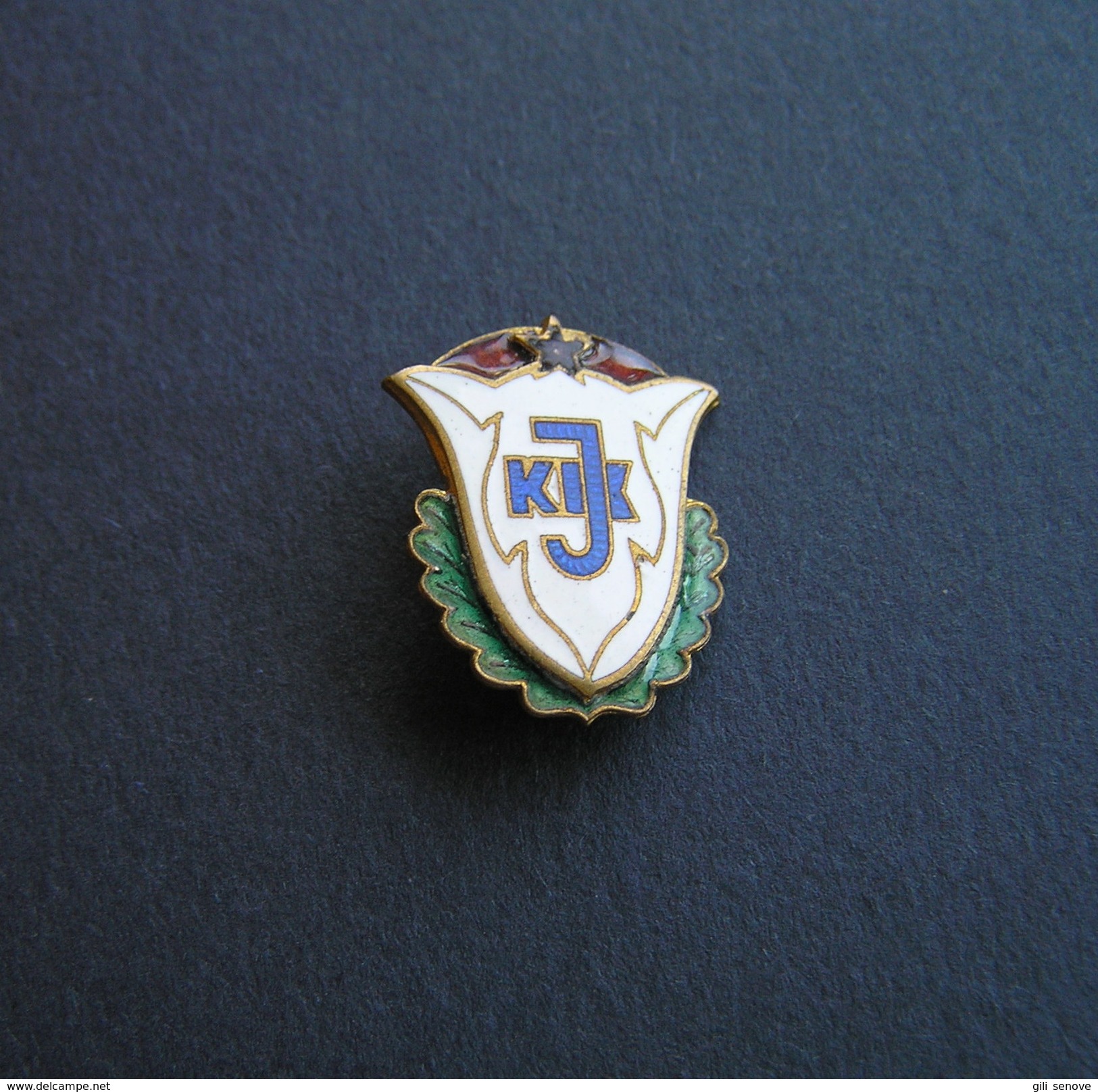 1960s USSR LITHUANIA KAUNAS STATE INSTITUTE OF PHYSICAL CULTURE BADGE - Altri & Non Classificati