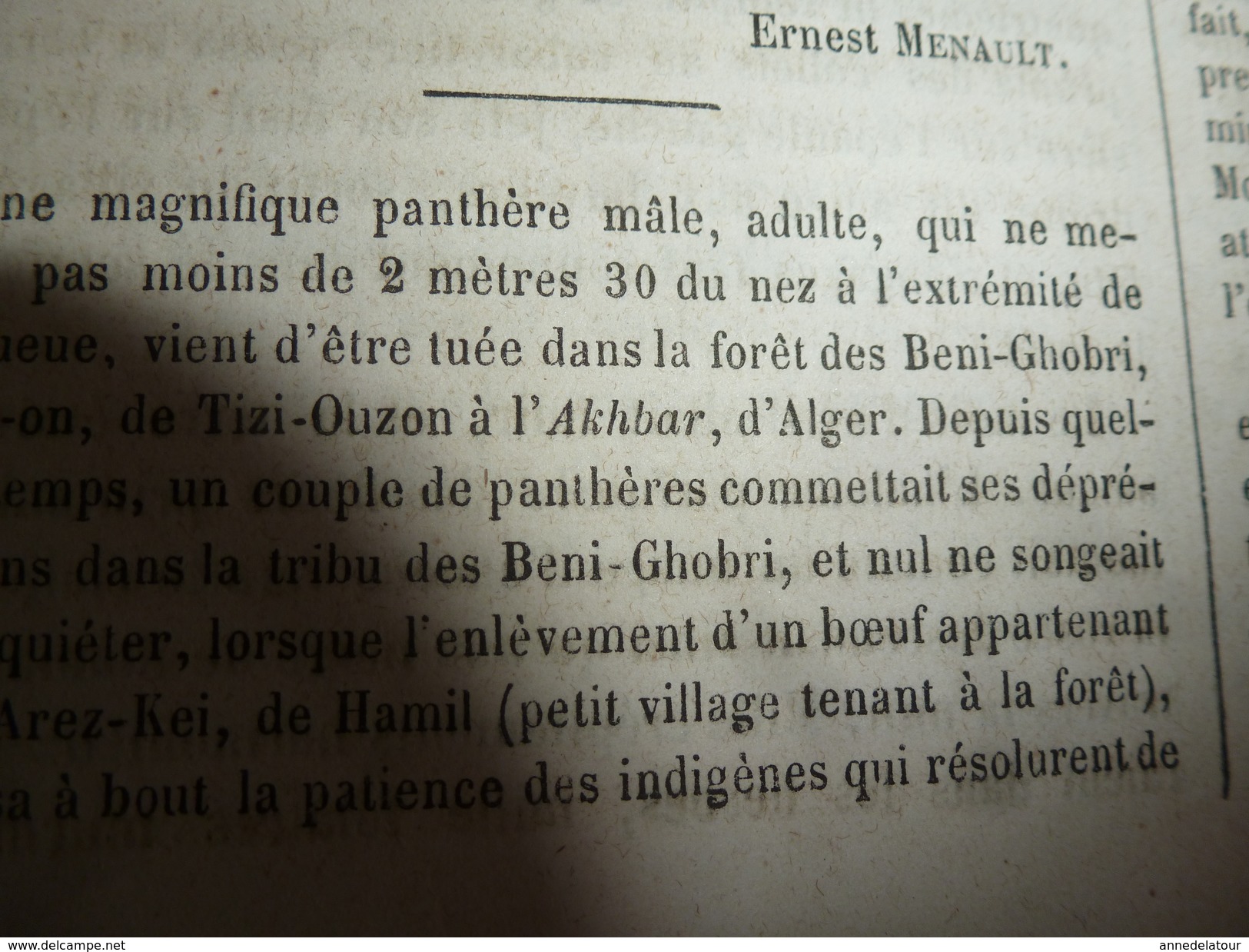 1864  Les pieds chinois; La place aux lapins:Tribu des Béni-Ghobri;Panthère à Tizi-Ouzon ? ou Tizi-Ouzou (Algérie) ; etc