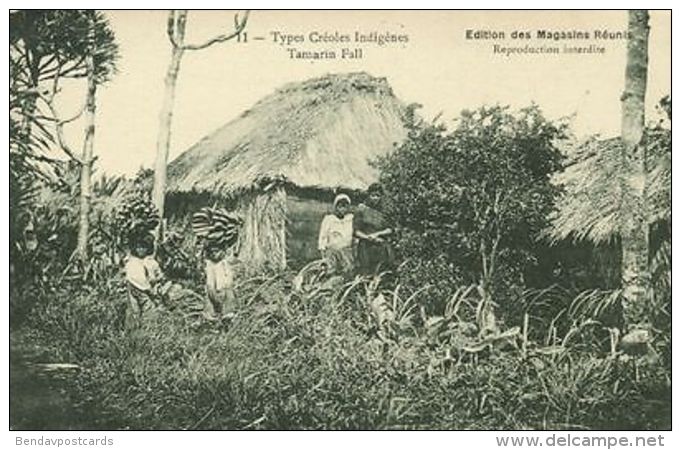 Mauritius, Tamarin Fall, Native Types Creoles, Bananas (1910s) - Mauritius