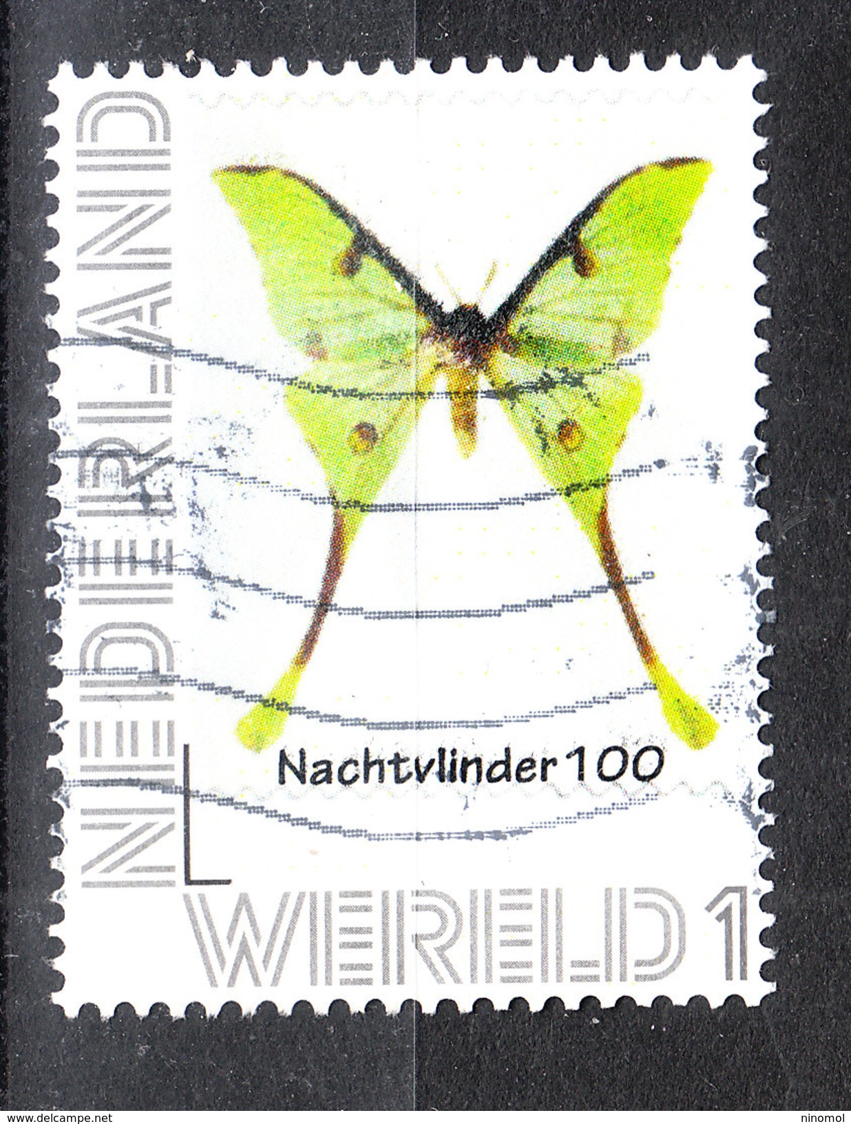 Olanda   Nederland  -   2016. Farfalla Notturna. Nocturnal Butterfly - Farfalle