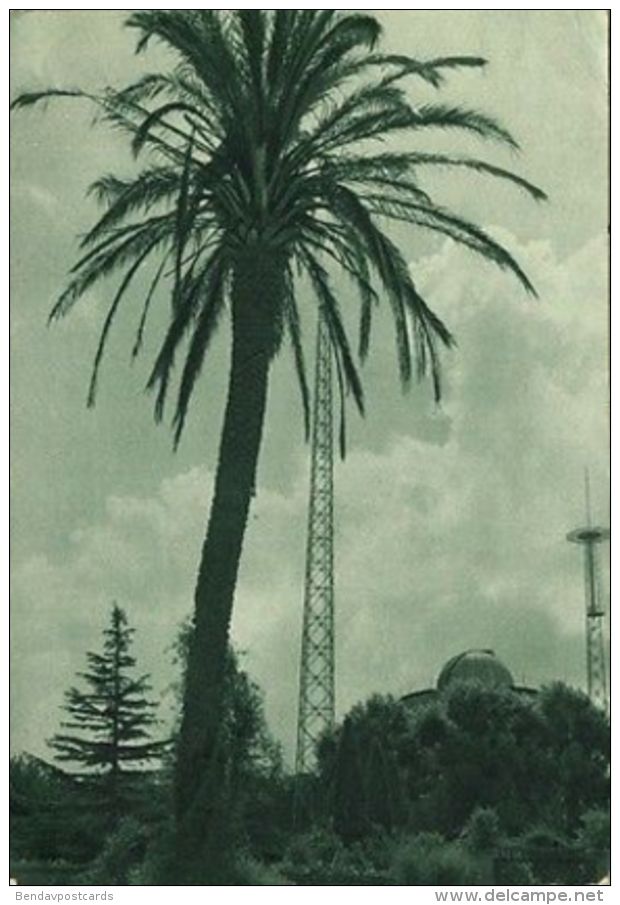 Vatican City, Giardini Vaticani, Vatican Radio Masts And Towers (1952) - Vatican