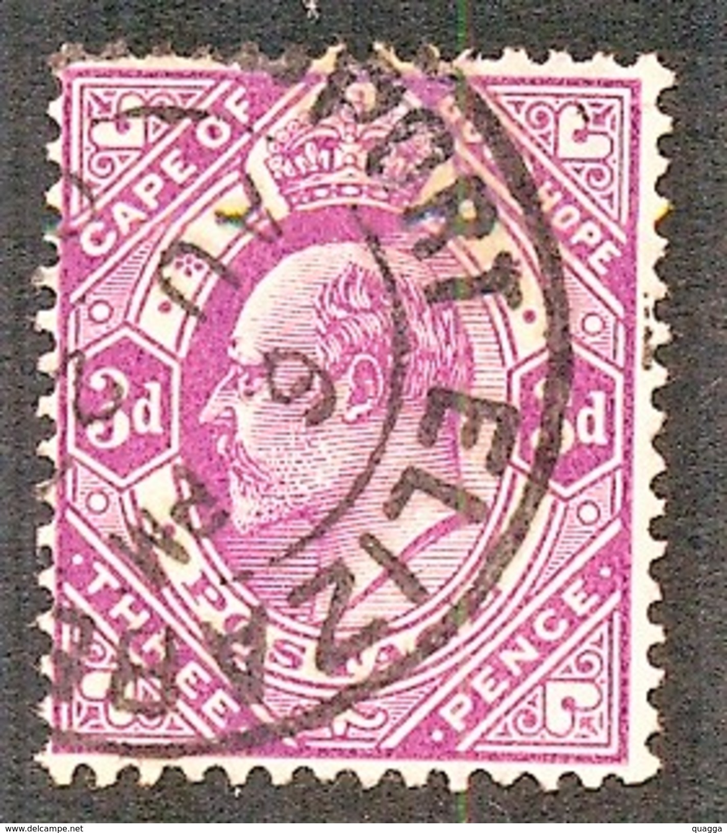 Cape Of Good Hope 1902. 3d Magenta. SACC 69, SG 74. - Capo Di Buona Speranza (1853-1904)