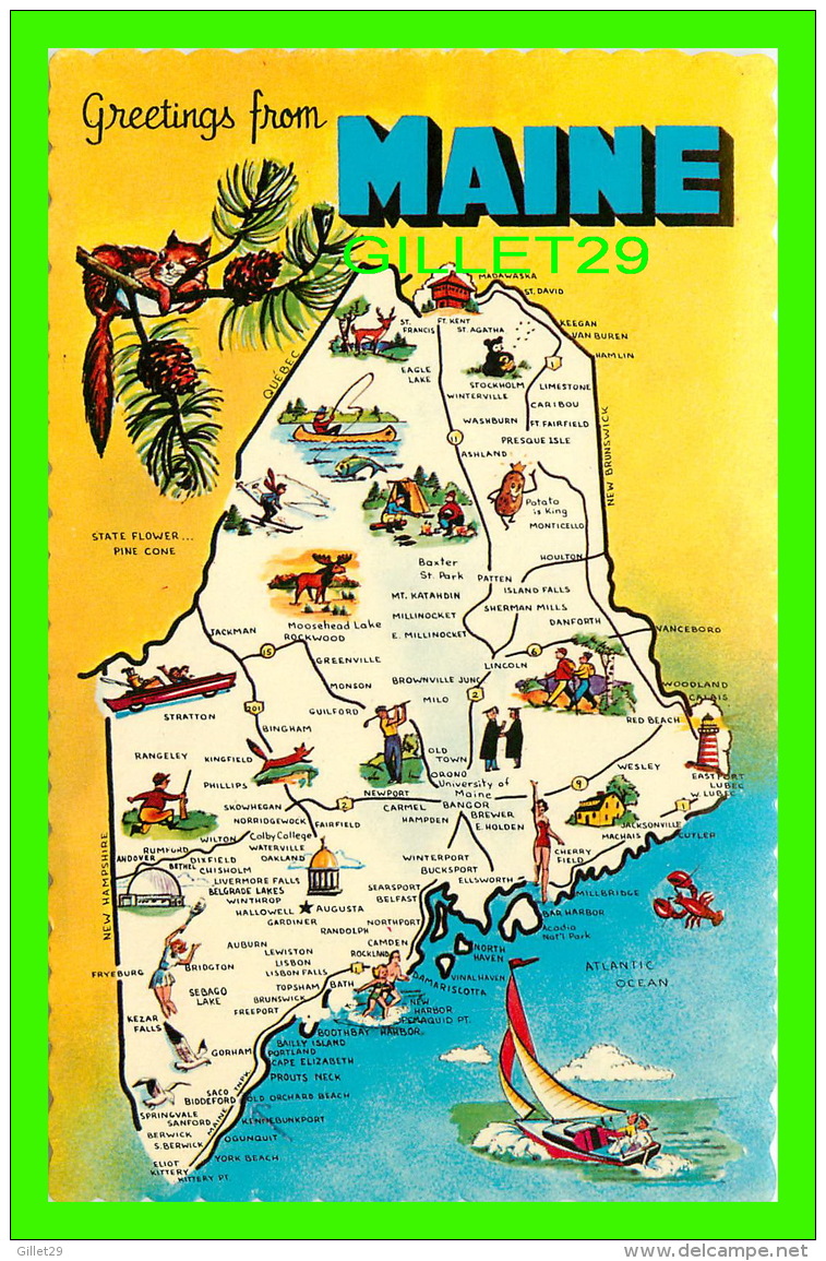 MAP - CARTE GÉOGRAPHIQUE - GREETINGS FROM MAINE - WRITTEN -  EASTERN ILLUSTRATING - - Cartes Géographiques