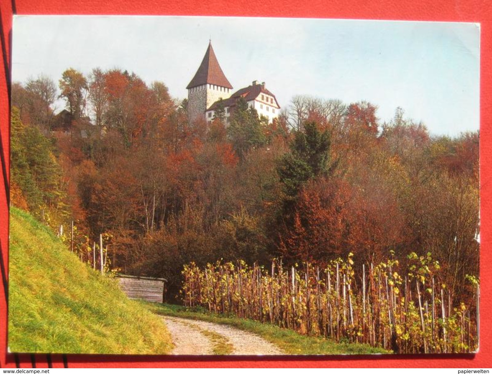 Weinfelden (TG) - Schloss Weinfelden - Weinfelden