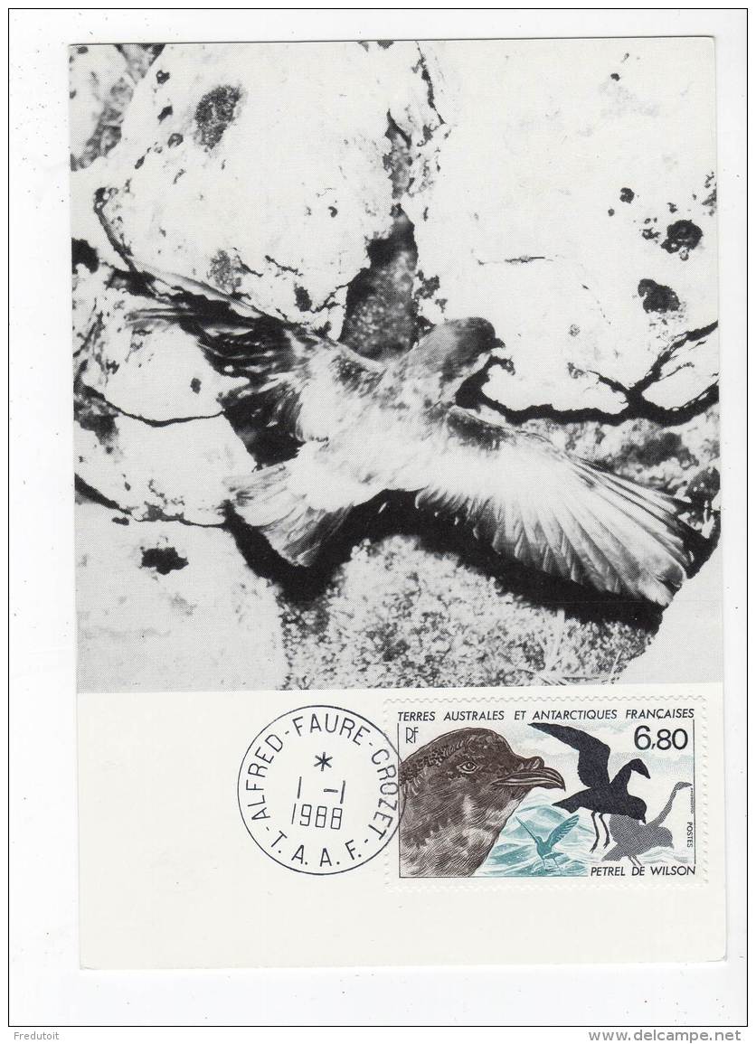 CARTE MAXIMUM - TAAF - 1988 -   N°132 - FDC