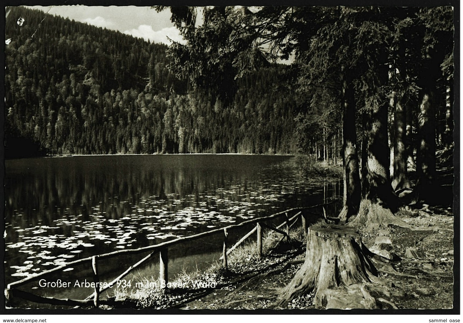 Großer Arbersee Im Bayrischen Wald  -  Ansichtskarte Ca.1960    (7067) - Bodenmais