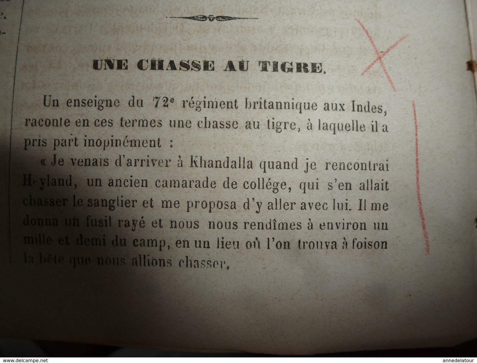 1864 Chasse Au Tigre Raconté Par Un British Soldier;Château D'Heidelberg ;Etrange île De Whytootacke (archipel De Cook) - Non Classés