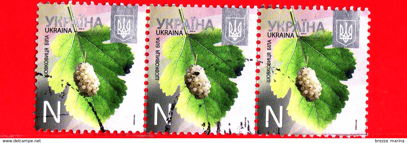 UCRAINA  - Usato - 2013 - Piante - Gelso Bianco - Morus Alba - 2013-II - N - Ukraine