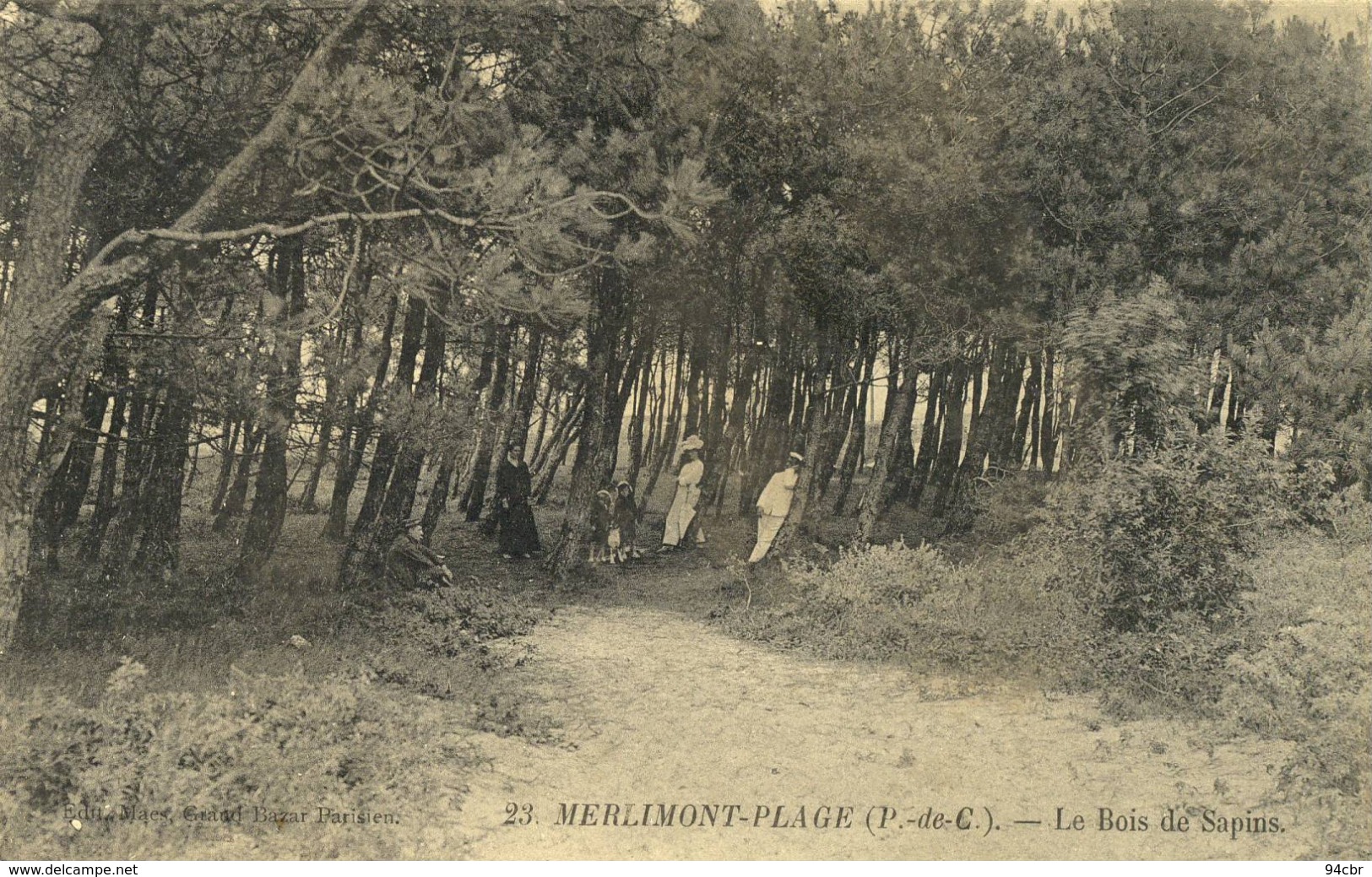 CPA  (62) MERLIMONT PLAGE Le Bois De Sapins    (b Bur) - Otros & Sin Clasificación