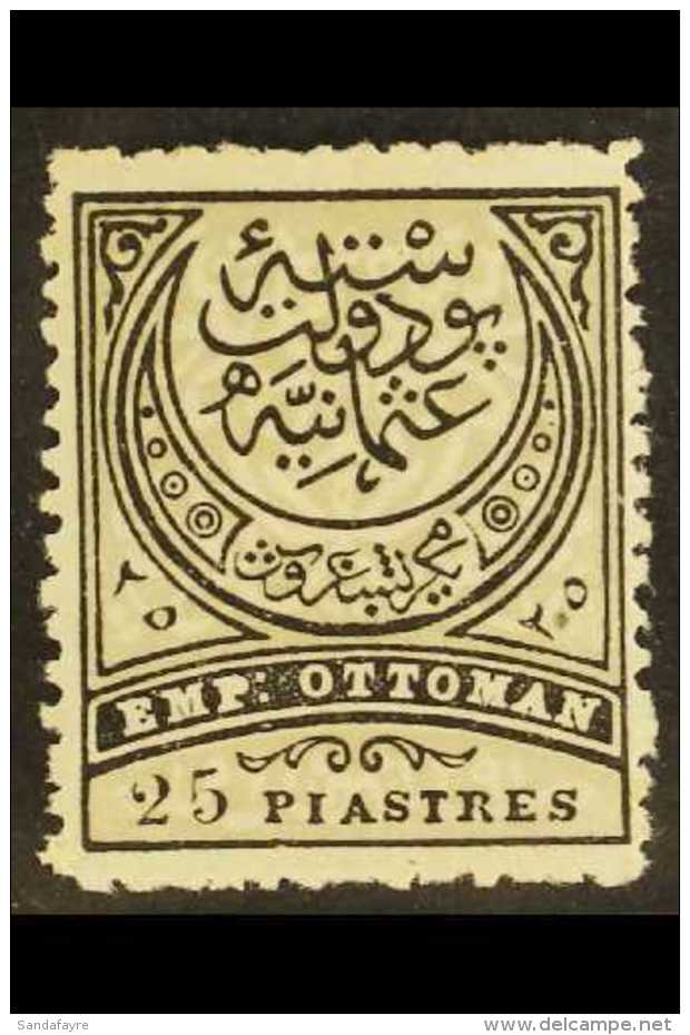 1884-86 25pi Black And Grey-olive "Emp. Ottoman", Perf 13&frac12;, Michel 50A, Fine Mint. For More Images, Please... - Other & Unclassified