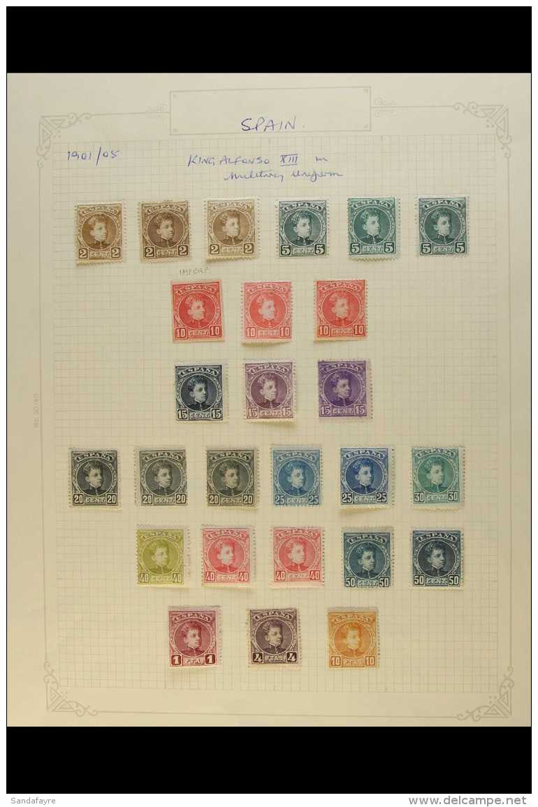 1901-5 ALFONSO XIII SEMI SPECIALISED COLLECTION Lovely Mint And Used Ranges Arranged On Pages With Mint Valsue To... - Other & Unclassified