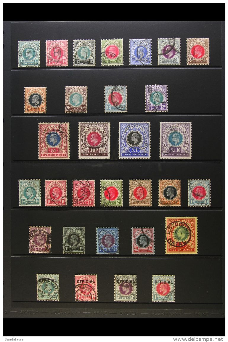 NATAL 1902-08 USED KEVII COLLECTION On A Stock Page. Includes 1902-03 Set To 2s, 1902 "Large" Types With 5s, 10s,... - Unclassified