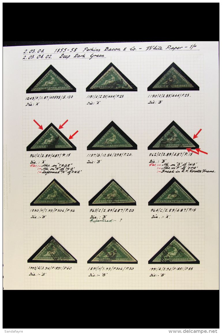 CAPE OF GOOD HOPE 1855 1s DEEP DARK GREEN STUDY COLLECTION - Fabulous Used Collection Virtually All With Margins... - Unclassified