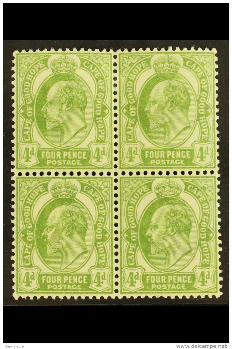 CAPE OF GOOD HOPE 1902-04 4d Olive Green, SG 75, Never Hinged Mint Block Of Four, The Upper Pair With Light Bend... - Unclassified