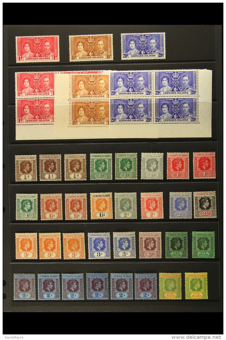 1937-52 KGVI MINT COLLECTION On Stock Pages. Includes 1937 Coronation Set As Singles &amp; Corner Blocks Of 4,... - Leeward  Islands