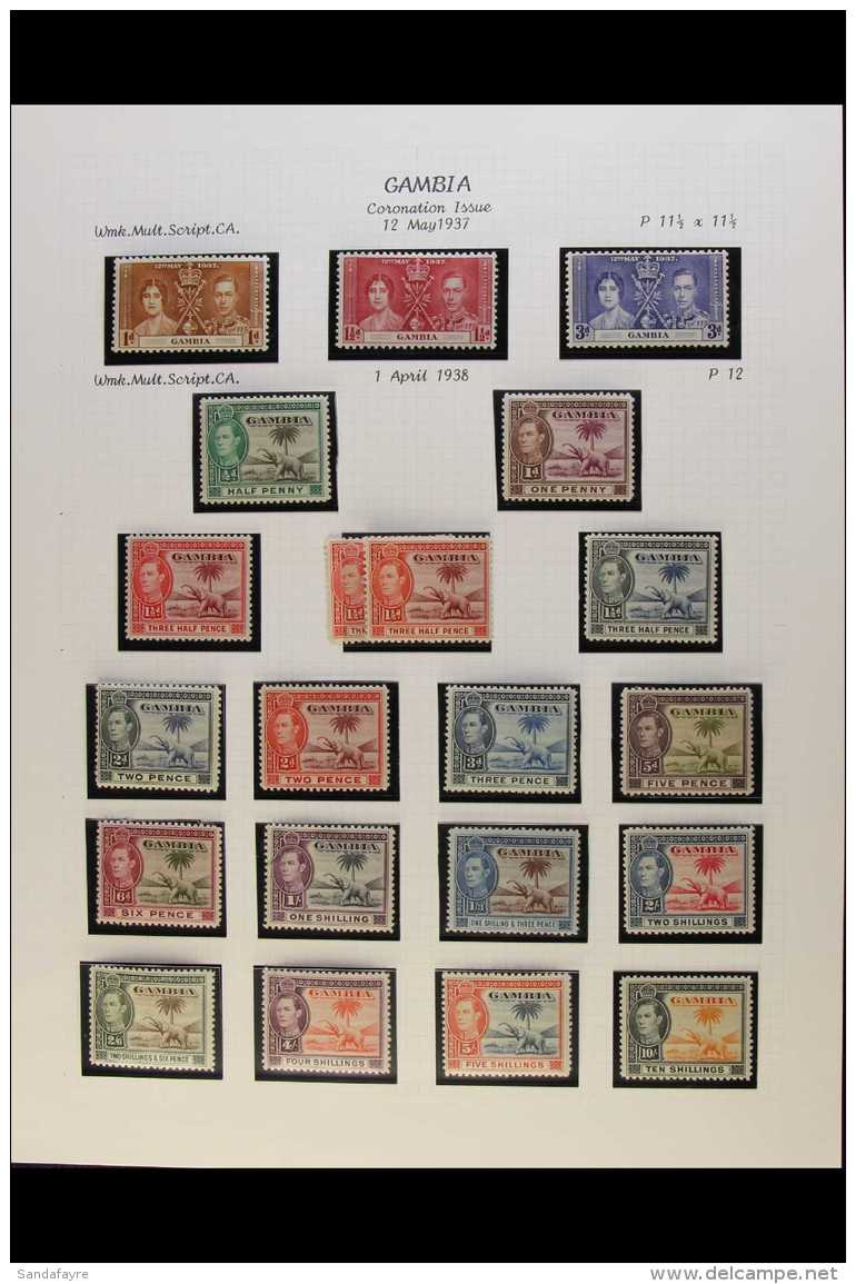 1937-49 KGVI FINE MINT COLLECTION Complete Basic Run, Also Includes Good 1&frac12;d Shade (SG 152,... - Gambia (...-1964)
