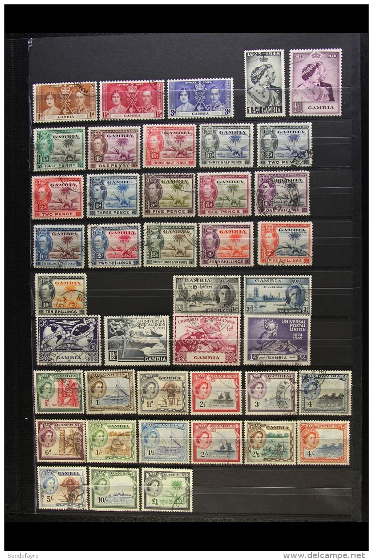 1937-1953 VERY FINE USED COLLECTION On A Stock Page, All Different Complete Sets, Inc 1938-46 Elephant Set, 1948... - Gambia (...-1964)