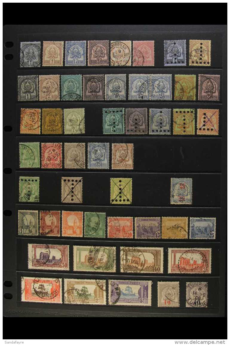 TUNISIA 1888-1933 ALL DIFFERENT USED COLLECTION Presented On Stock Pages. Includes 1888-93 Plain Background... - Other & Unclassified