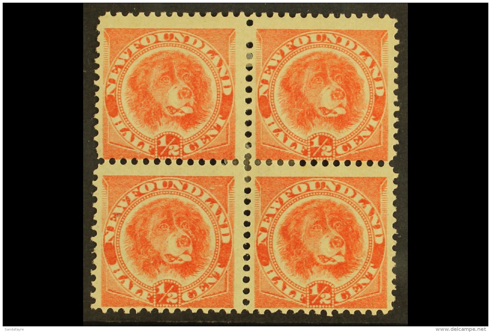 1896 &frac12;c Orange Vermilion, Newfoundland Dog, SG 62, Fine Mint Block Of 4. For More Images, Please Visit... - Other & Unclassified