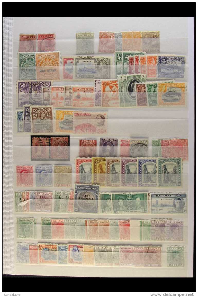 BRITISH WEST INDIES/CARIBBEAN QV To 1960's Exciting Ranges On Stockleaves, Packed With Better Mint And Used Stamps... - Other & Unclassified