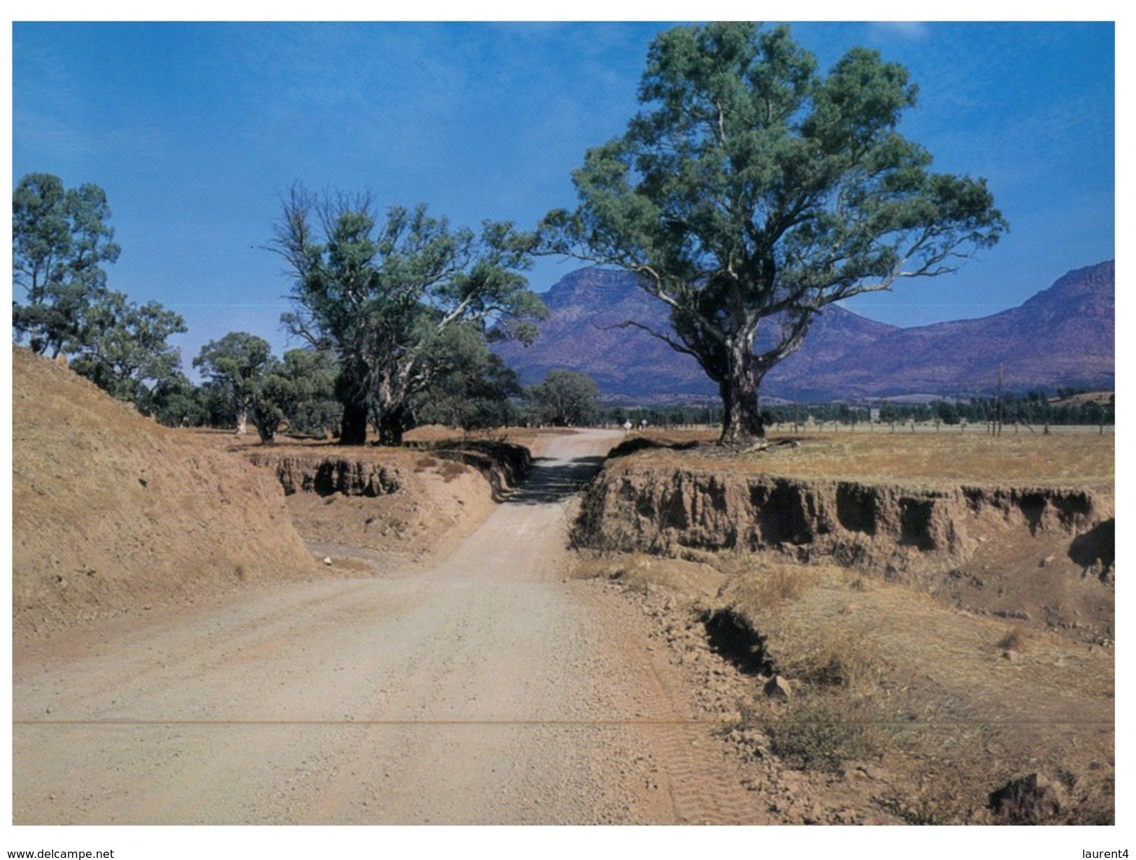 (316) Australia - Sa - Wilpena Creek - Flinders Ranges