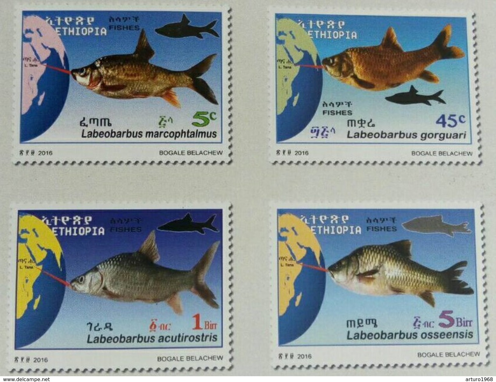 Ethiopia Ethiopie Äthiopien - Complete Set Of 4 MNH / ** 2017 Fauna Fishes Marine Life - Ethiopia