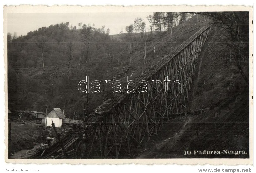 * T2 FeketeerdÅ‘, Padurea Neagra; Sikl&oacute;p&aacute;lya Fasz&aacute;ll&iacute;t&aacute;shoz / Funicular For Wood... - Non Classificati