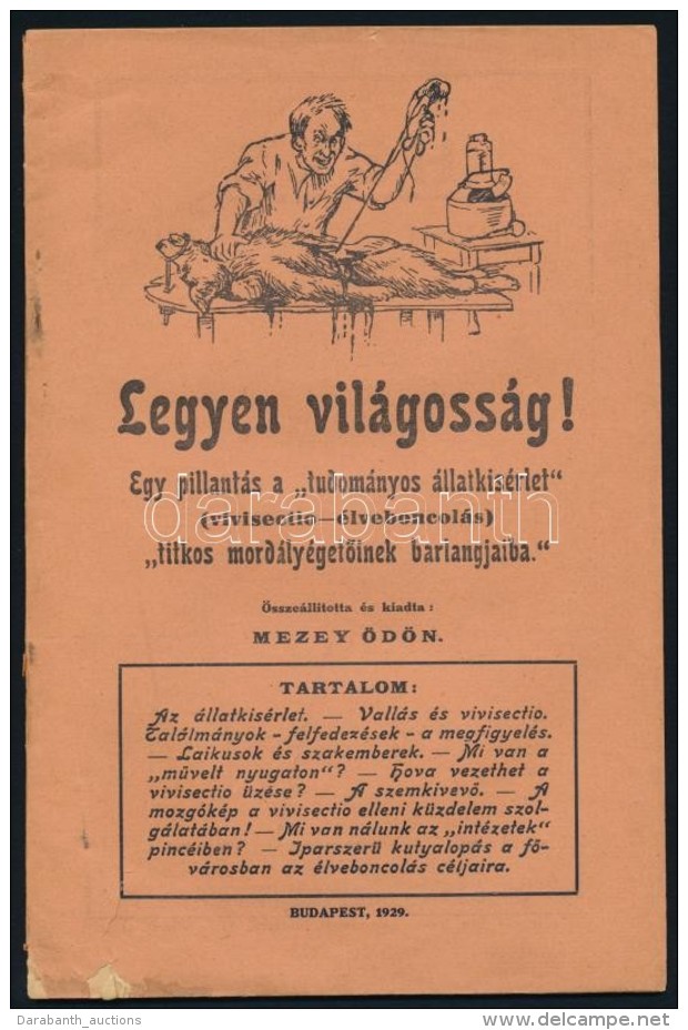 1929 Legyen Vil&aacute;goss&aacute;g. Egy Pillant&aacute;s A 'tudom&aacute;nyos &aacute;llatk&iacute;s&eacute;rlet'... - Non Classificati