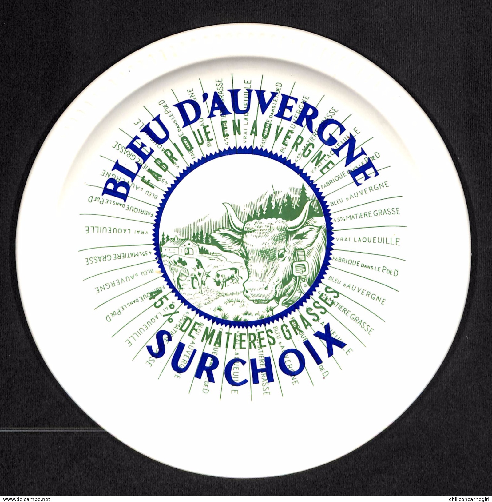 6 Assiettes à Fromage 100 % Céramique - Faïence De St Amand - Roquefort - Bleu D'Auvergne - Pont L'Évêque - Camembert.. - Teller