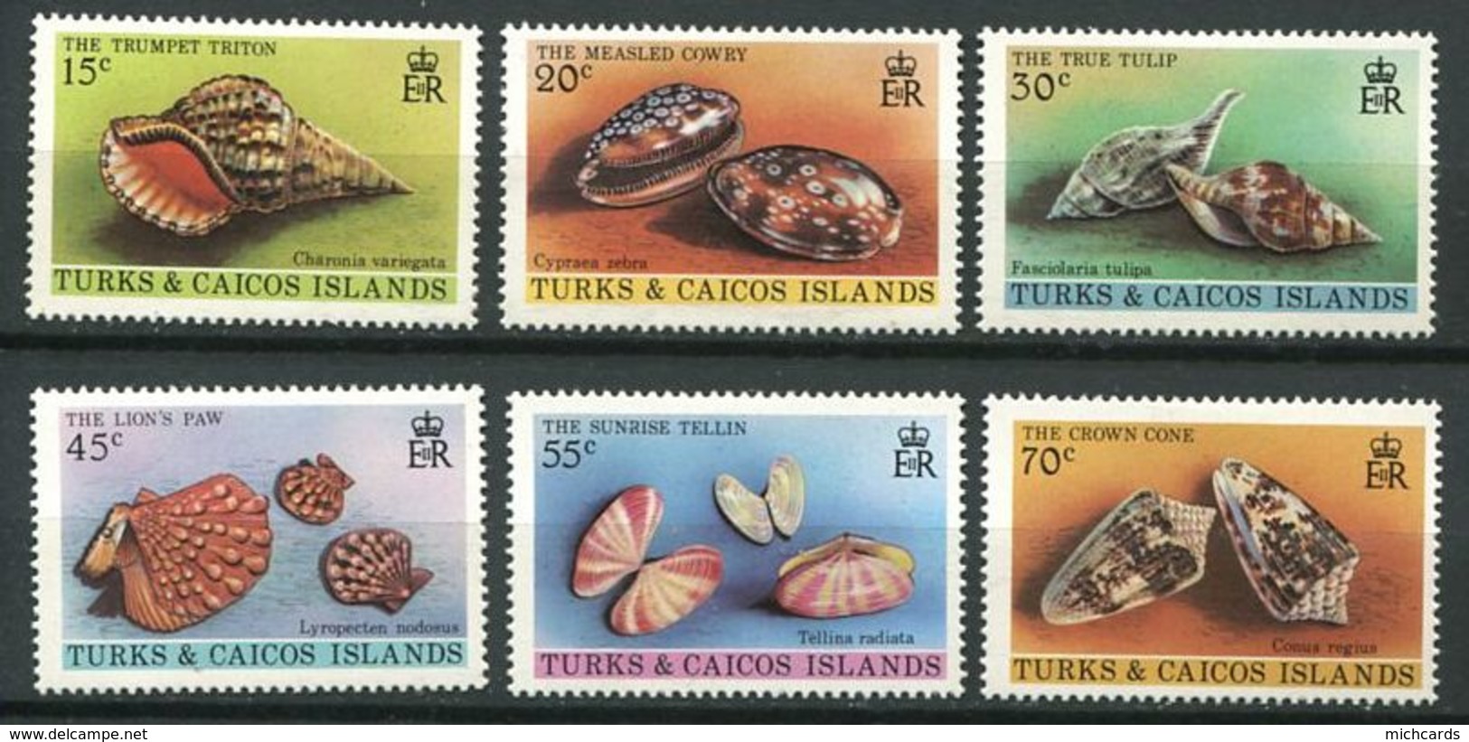 TURKS Et CAICOS 1980 - Yvert 488/93 - Coquillage - Neuf * (MLH) Avec Trace De Charniere - Turks & Caicos