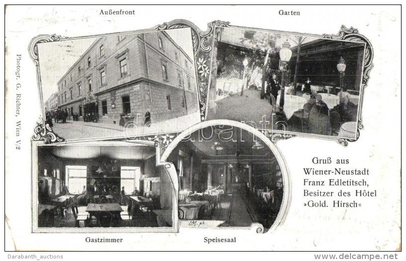 T4 Wiener-Neustadt, Franz Edletitsch's Hotel Gold. Hirsch; Aussenfront, Garten, Gastzimmer, Speisesaal / Hotel... - Non Classificati