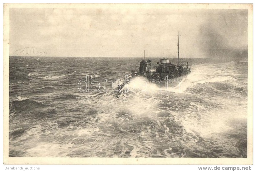 T2 SM Hochseetorpedoboot Seehund / Phot. Alois Beer, Verlag F. W. Schrinner 1912 / K.u.K. Kriegsmarine, Torpedo... - Non Classificati