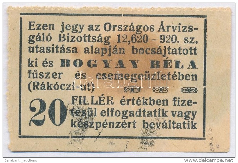 Budapest / Orsz&aacute;gos K&ouml;zponti &Aacute;rvizsg&aacute;l&oacute; Bizotts&aacute;g 1920. 20f 'Bogyay... - Non Classificati