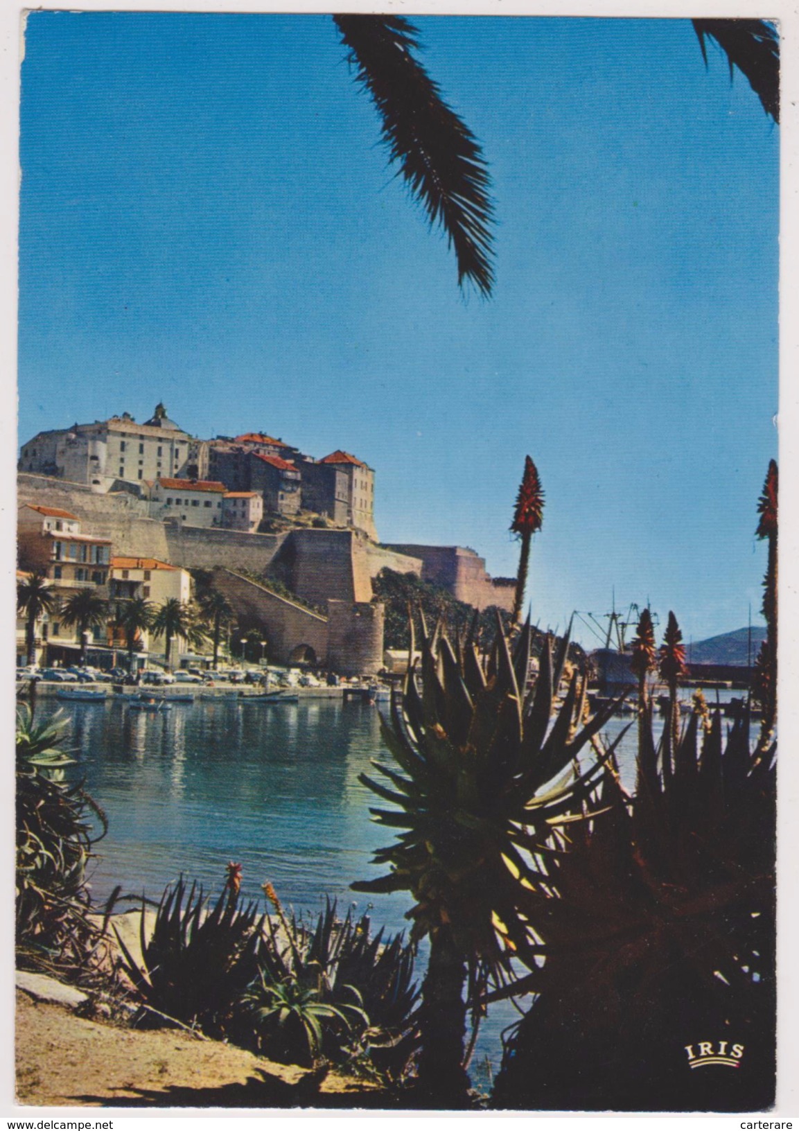 CORSE,CALVI,BALAGNE,VILLE DE RESISTANT ANTI FASCISTE,PENDANT LA GUERRE,PORT,CITADELLE - Calvi