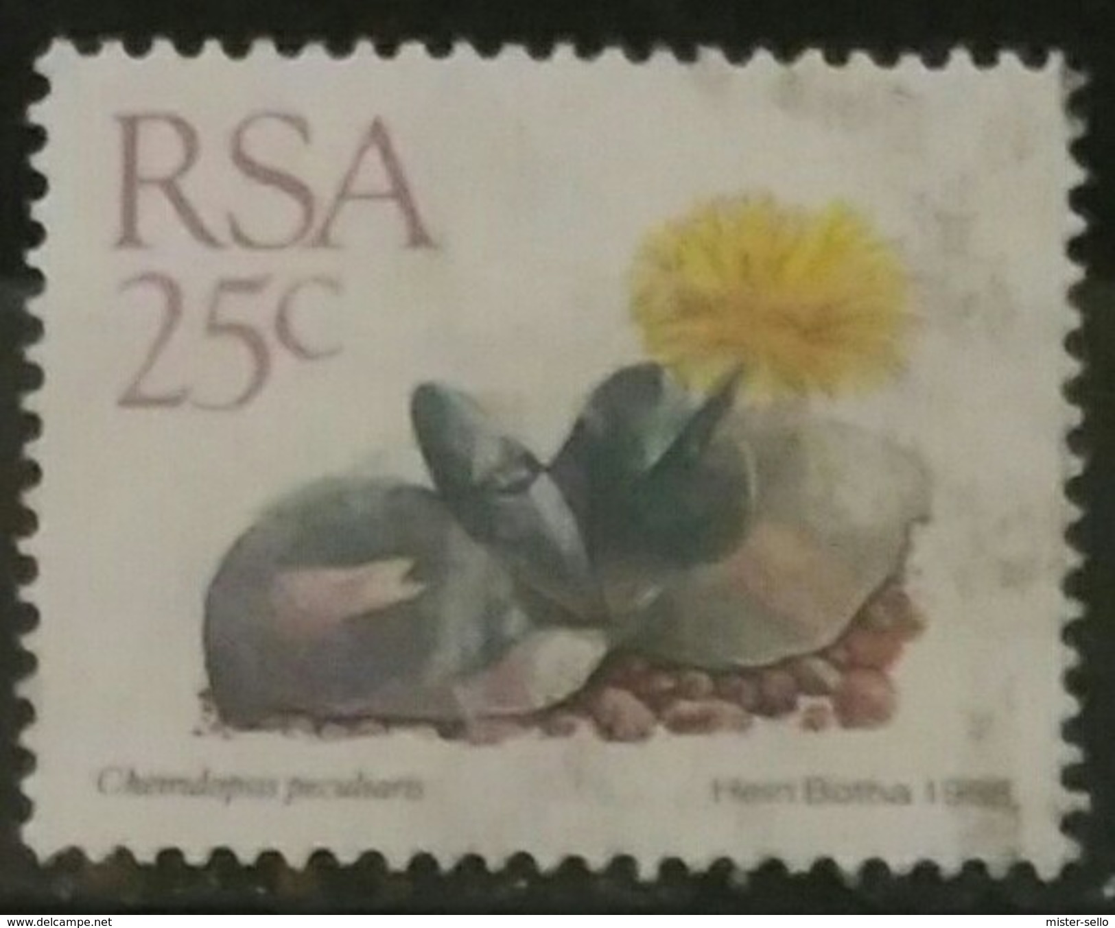 SUDAFRICA - AFRICA DEL SUR. Fauna. USADO - USED. - Used Stamps