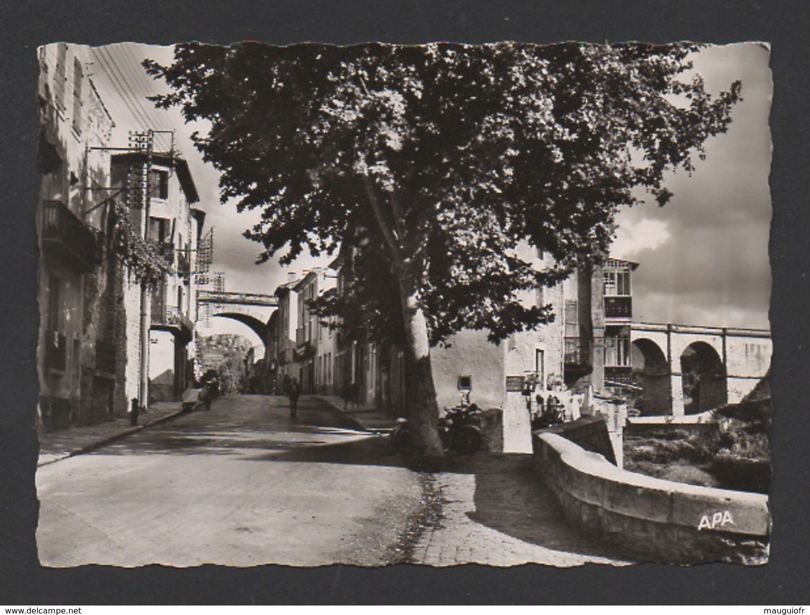 DF / 34 HÉRAULT / BÉDARIEUX / AVENUE COT / CIRCULÉE EN 1962 - Bedarieux