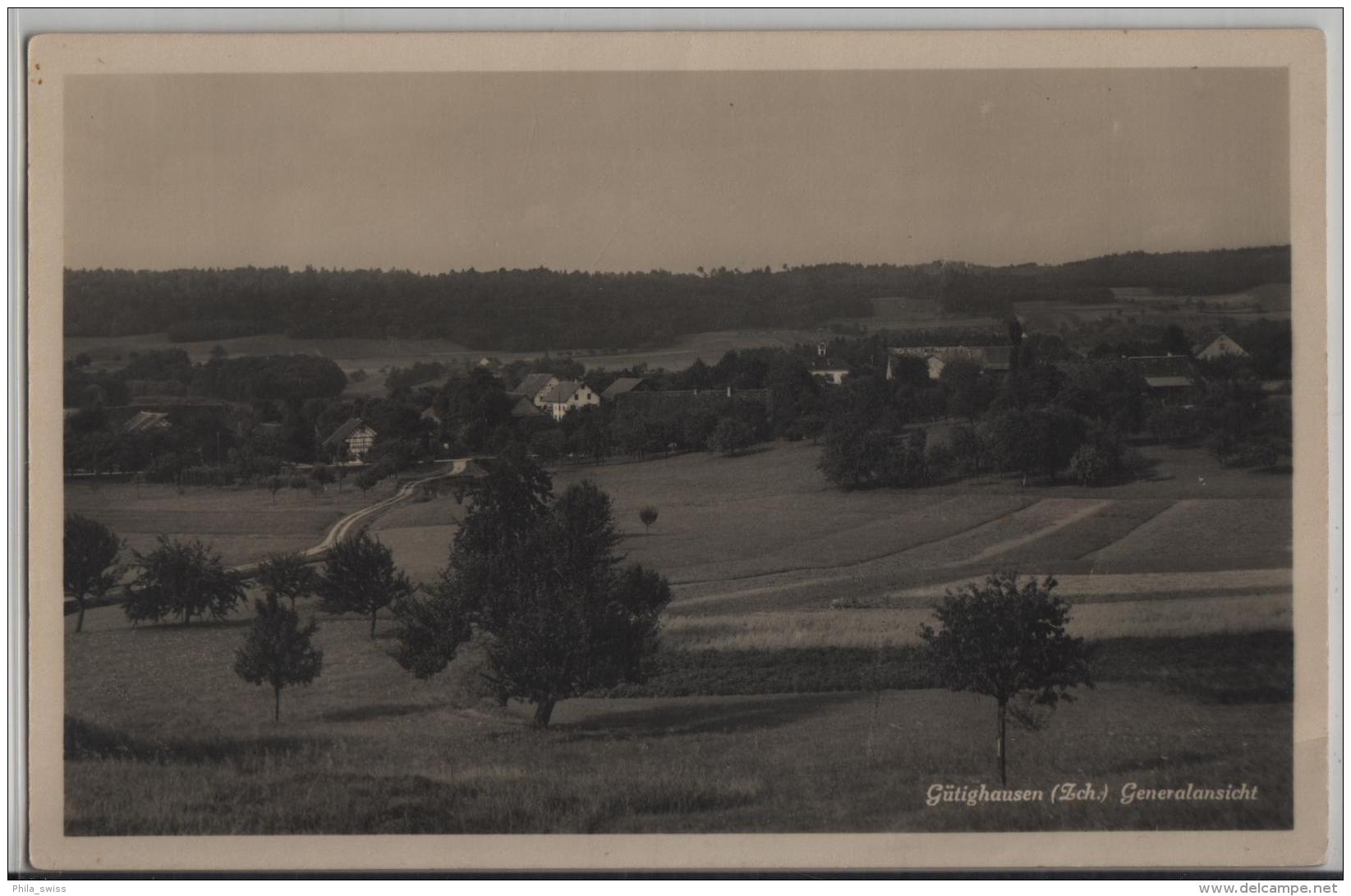 Gütighausen (Zürich) Generalansicht - Photo: Guggenheim No. 14800 - Hausen Am Albis 