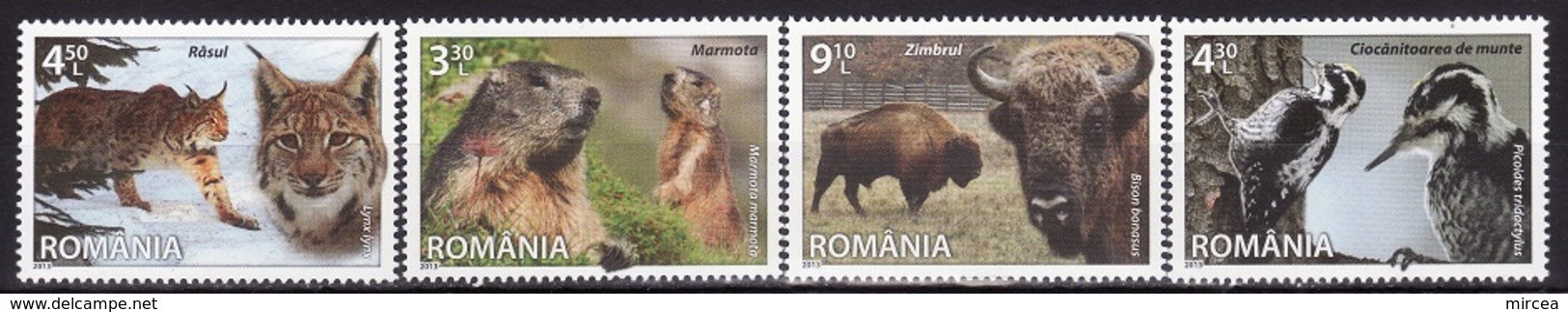 Roumanie 2013 - Faune 4v.Yv.no.6754-7 Neufs**(d) - Unused Stamps