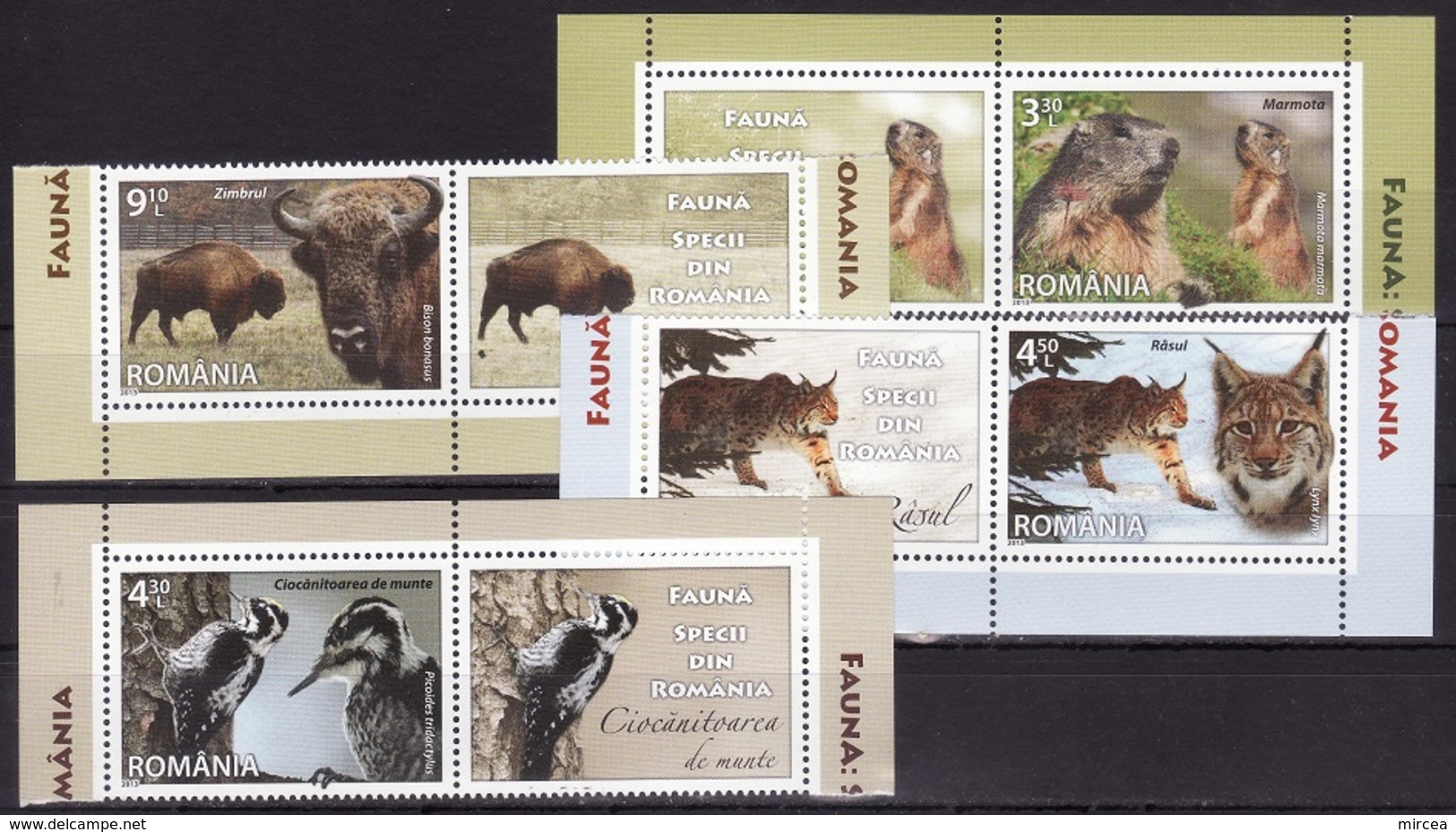 Roumanie 2013 - Faune 4v.Yv.no.6754-7 Neufs** Avec Vignettes(d) - Unused Stamps