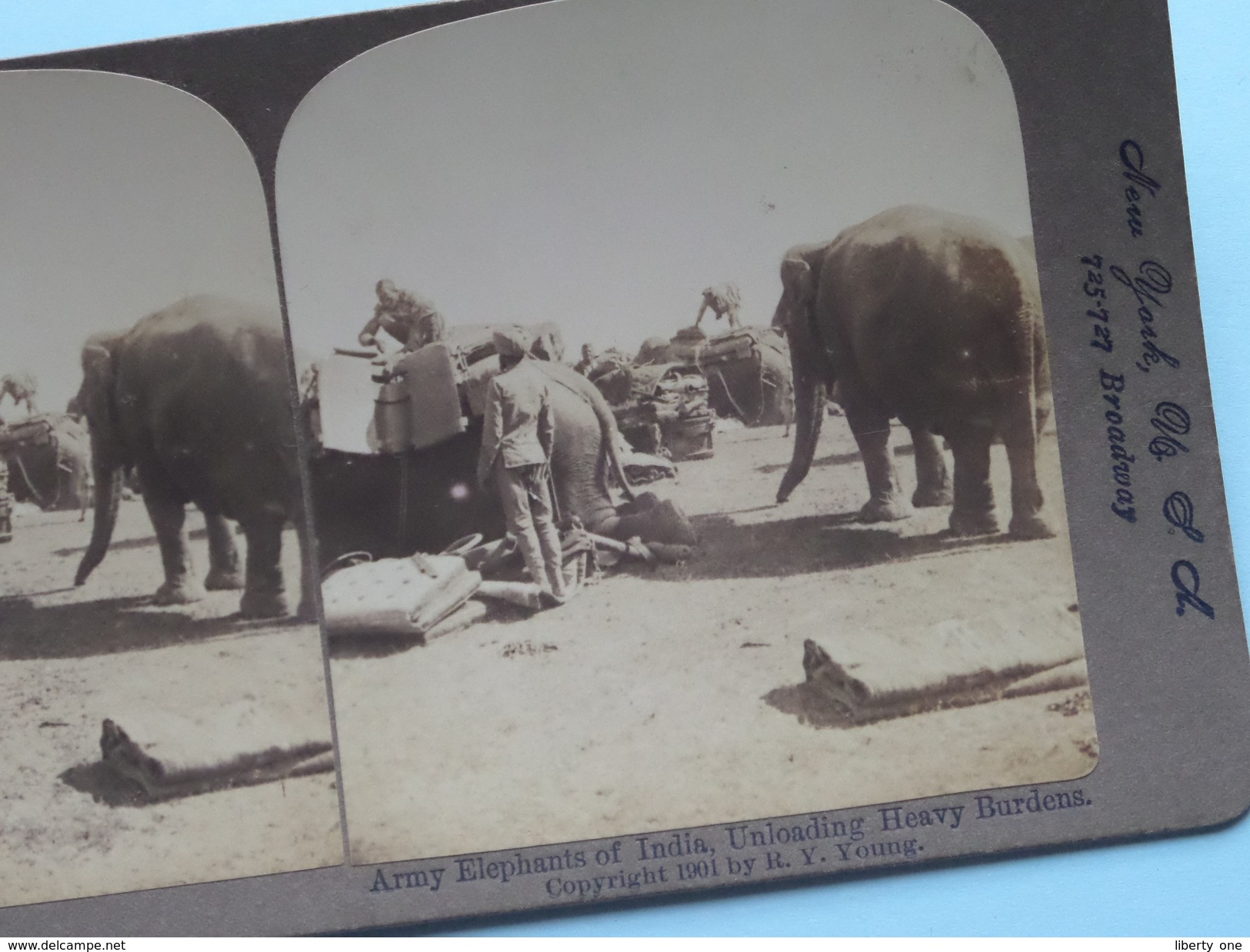 ARMY ELEPHANTS OF INDIA, UNLOADING HEAVY BURDENS " Stereo Photo R.Y. YOUNG " 1901 ( Voir Photo Detail ) !! - Photos Stéréoscopiques