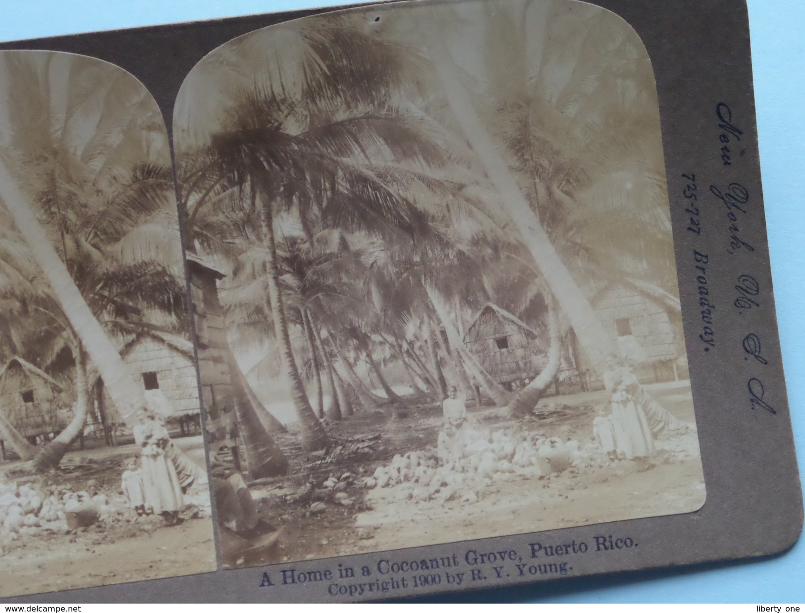 A HOME In A COCOANUT GROVE, PUERTO RICO " Stereo Photo R.Y. YOUNG " 1900 ( Voir Photo ) !! - Photos Stéréoscopiques