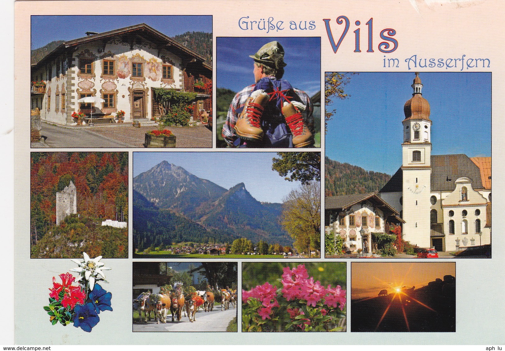 Vils Im Ausserfern, Gelaufen 2010 (ak0139) - Vils