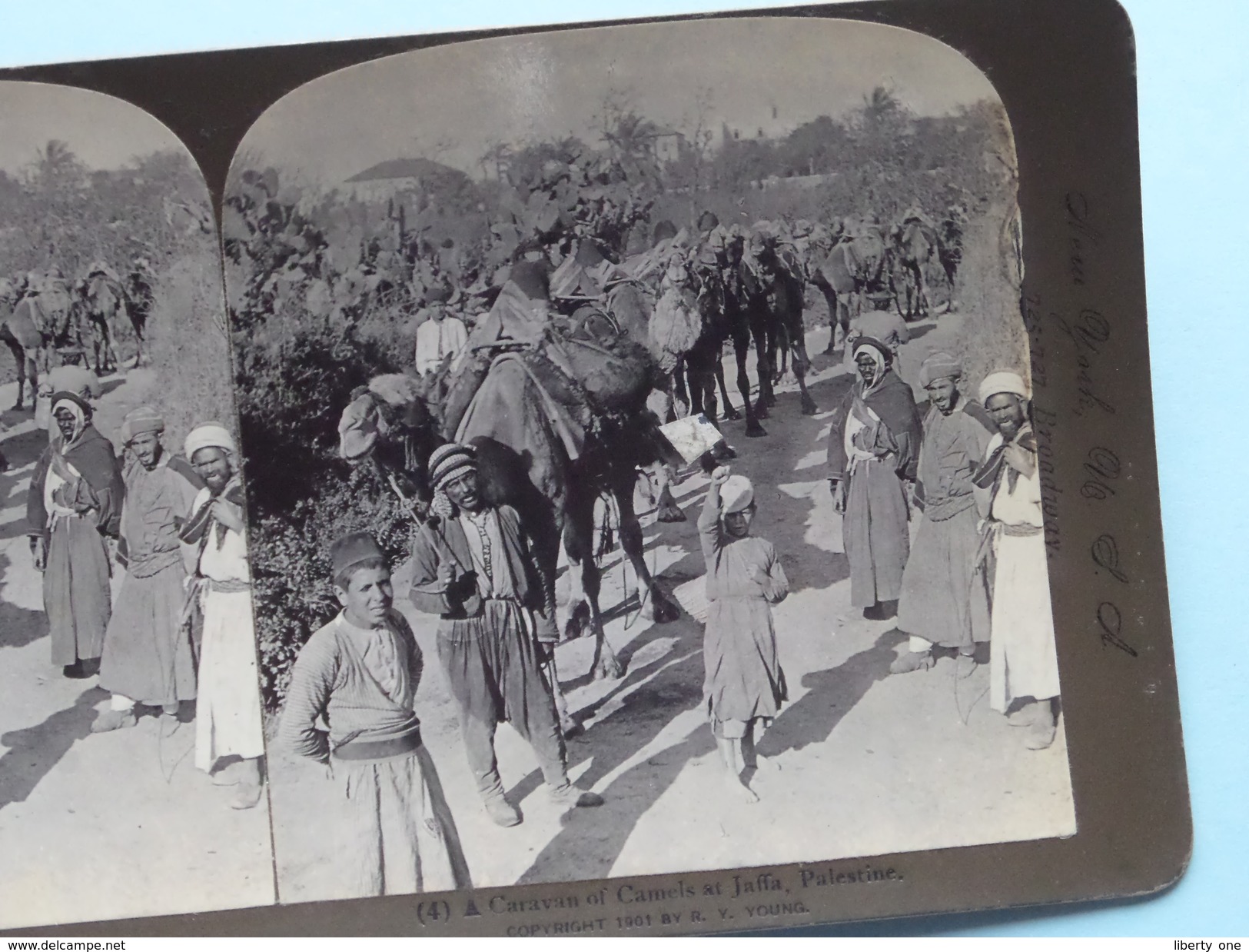 A CARAVAN Of CAMELS At JAFFA, PALESTINE" Stereo Photo R.Y. YOUNG " 1901 ( Voir Photo Pour Detail ) !! - Photos Stéréoscopiques