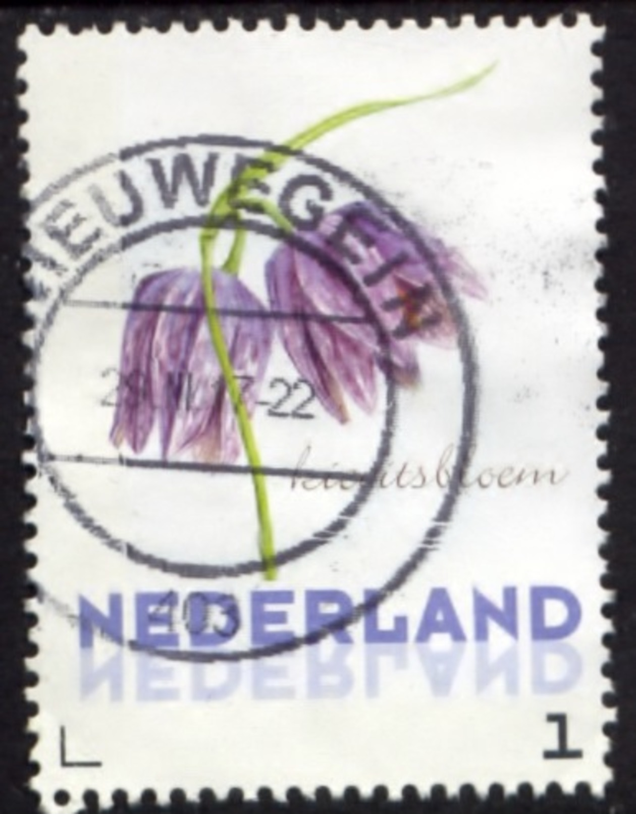 Nederland 2016, Netherlands, Niederlande, Pays-Bas, Holland, Fleur, Flower, Blumen, Kievitsbloem - Oblitérés