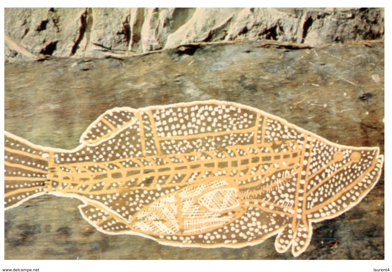 (510) Australia - Aboriginal Barramundi Rock Drawing - Aborigenes